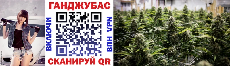Codein Новоаннинский