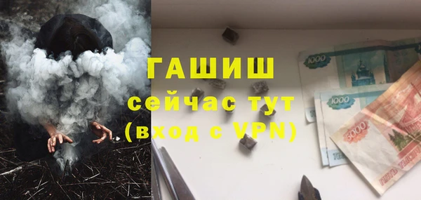 хмурый Аркадак