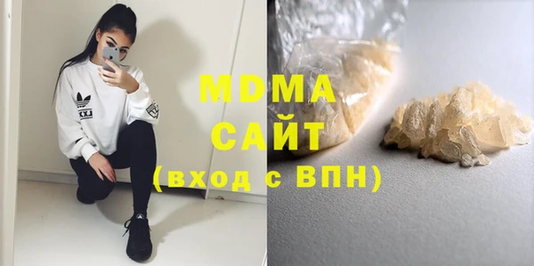 хмурый Аркадак