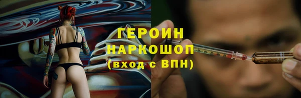 хмурый Аркадак