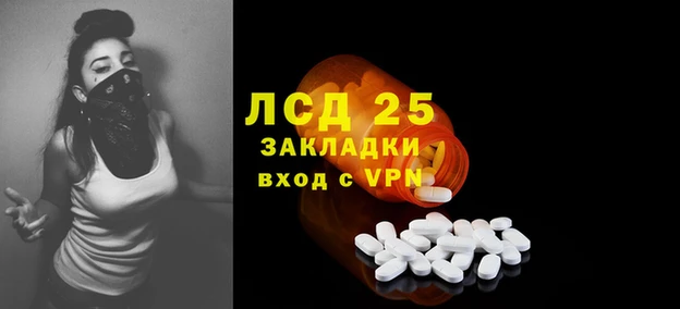 хмурый Аркадак