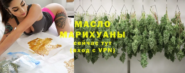 хмурый Аркадак