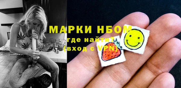 хмурый Аркадак