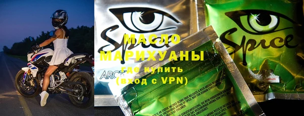 хмурый Аркадак