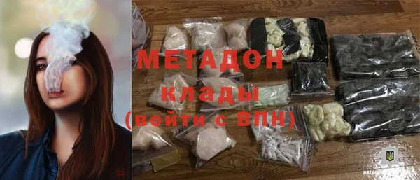 хмурый Аркадак