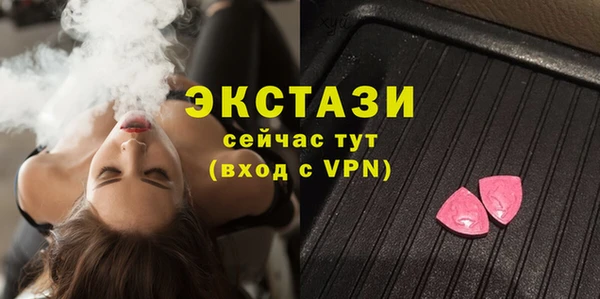 хмурый Аркадак