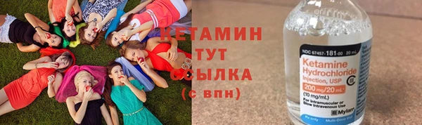 хмурый Аркадак