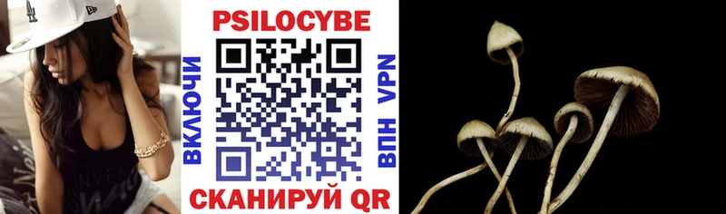 Купить закладки  Новоаннинский  Псилоцибиновые грибы Magic Shrooms 